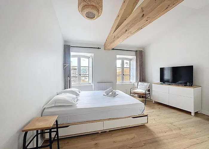 Vue Cathedrale Lumineux & Equipe En Plein Centre דירה קלרמונט-פרנד